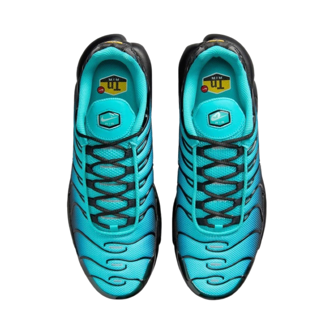 Nike Air Max Plus TN Caribbean Summit White Black Blue