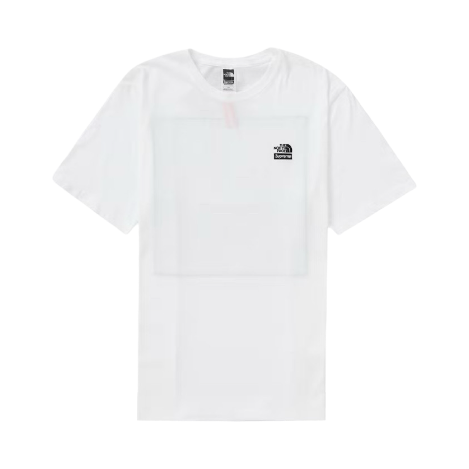 Supreme x The North Face Bandana Tee White Green
