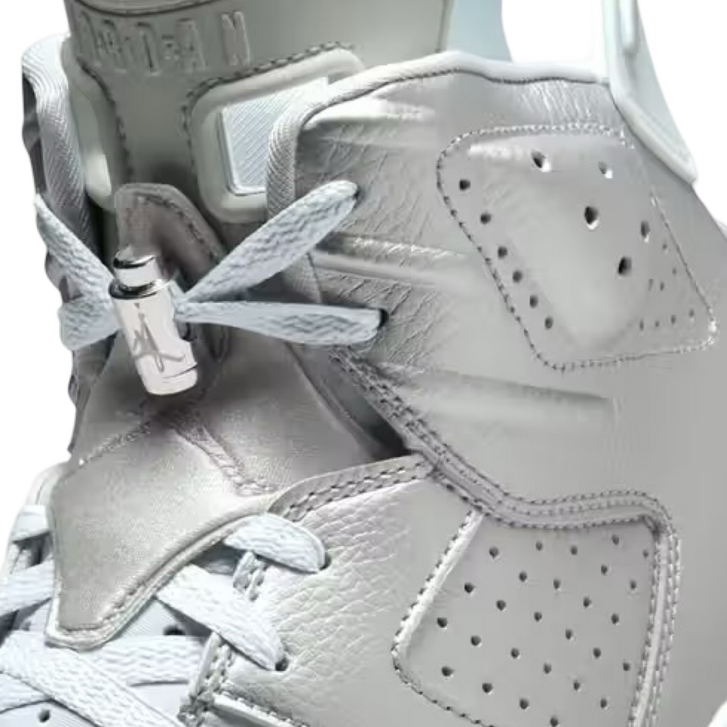 Air Jordan 6 PSG Silver