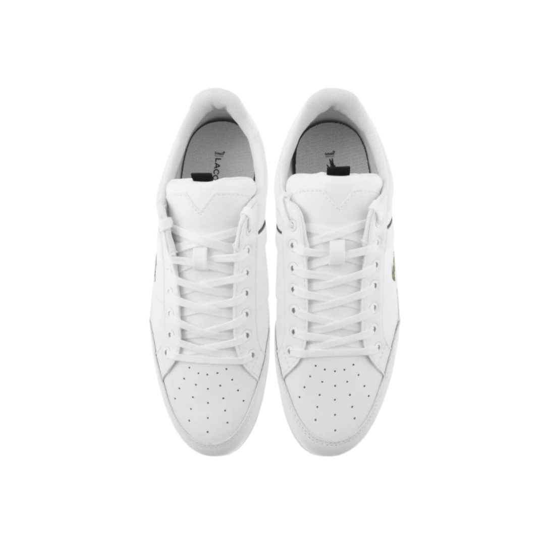 Lacoste Chaymon 0121 CMA White black