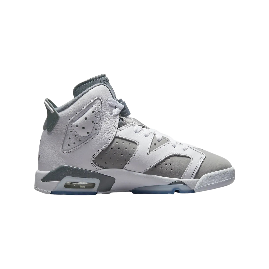 Air Jordan 6 Retro GS Cool Grey White Medium Cool Grey