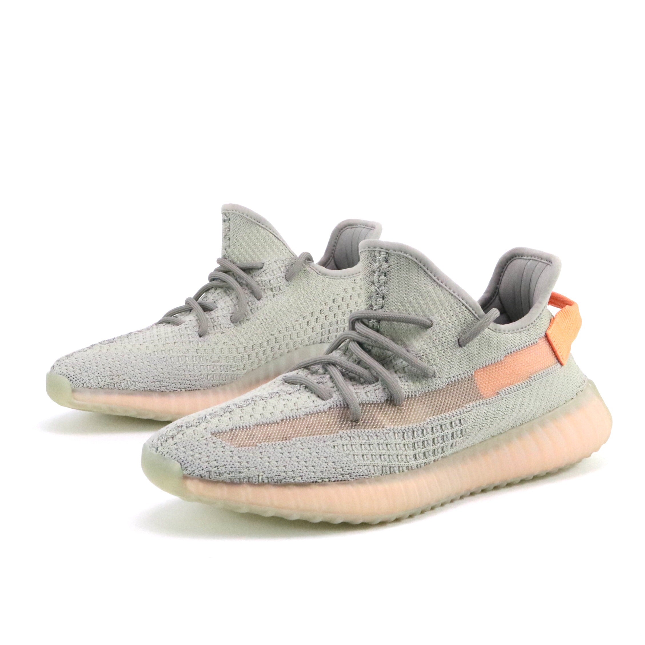 Yeezy Boost 350 V2 True Form